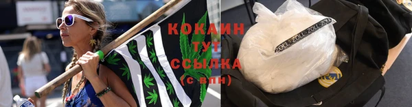 мяу мяу мука Майский