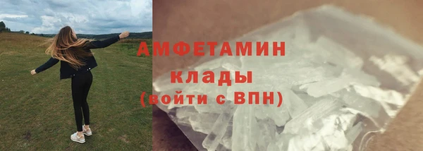 молекула духа Мегион