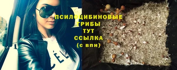 спиды Лиски