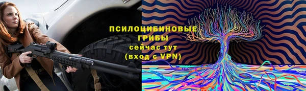 mdpv Магадан