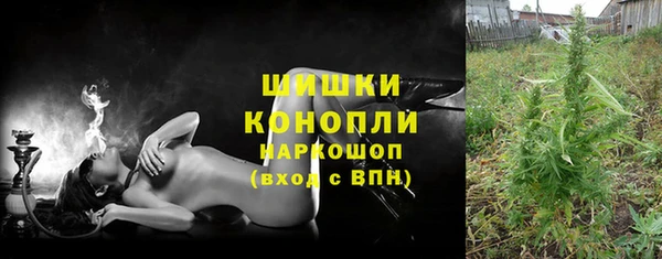 молекула духа Мегион