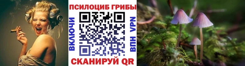 наркота  Лакинск  Псилоцибиновые грибы MAGIC MUSHROOMS 